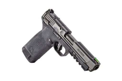 Smith  Wesson MP 22 Magnum 435 30rd SemiAuto Pistol