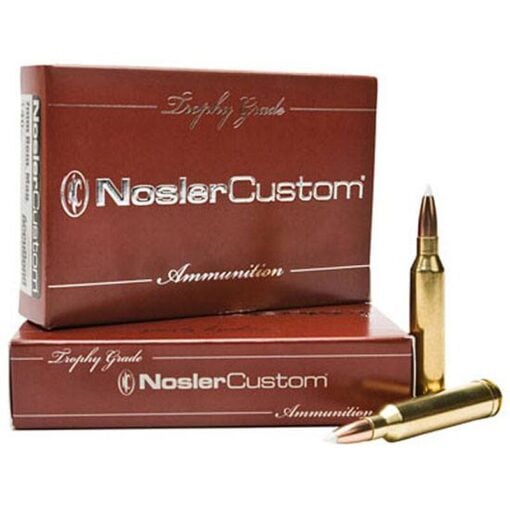 Nosler 60087 Trophy Grade 243 Win. 90gr Rifle Ammo - 20 Rounds -