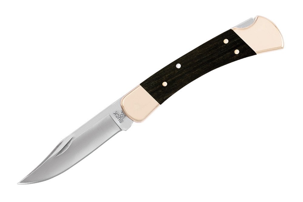 Buck Knives 110 Folding Hunter Lock-Back Knife