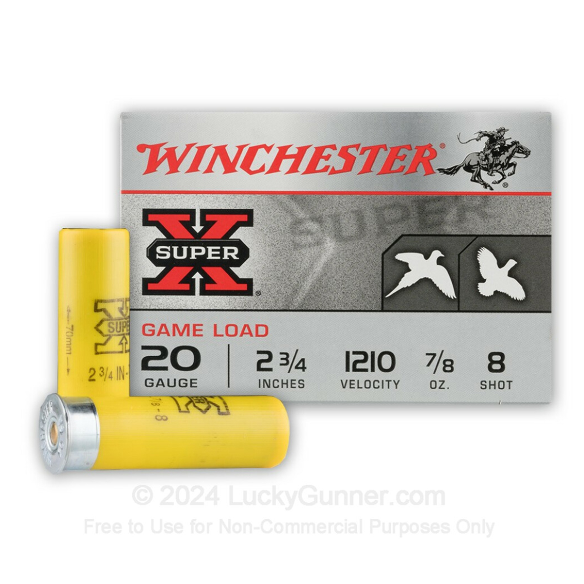 Winchester 20 Gauge – 250rd