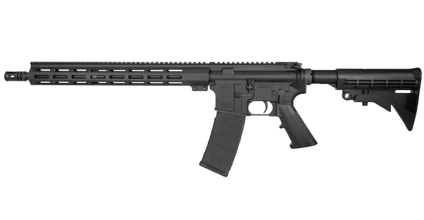 Custom AR-15